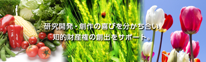 摜1